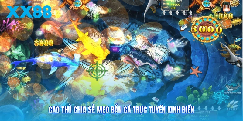 Cao thủ chia sẻ mẹo bắn cá trực tuyến kinh điển