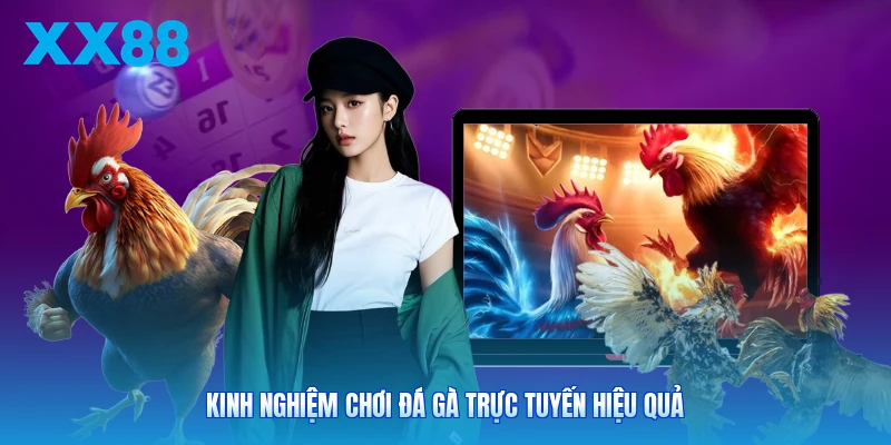 Kinh nghiệm chơi đá gà trực tuyến hiệu quả